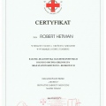 Powiększ obraz: certificate 2