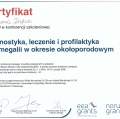 Powiększ obraz: certificate 5