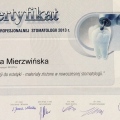 Powiększ obraz: certificate 11