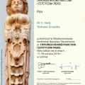 Powiększ obraz: certificate 42