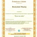 Powiększ obraz: certificate 32