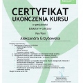 Powiększ obraz: certificate 5