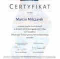 Powiększ obraz: certificate 1