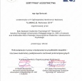 Powiększ obraz: certificate 11