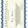 Powiększ obraz: certificate 12
