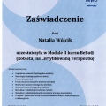 Powiększ obraz: certificate 5