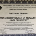 Powiększ obraz: certificate 7