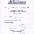 Powiększ obraz: certificate 26