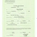 Powiększ obraz: certificate 6
