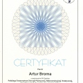 Powiększ obraz: certificate 1