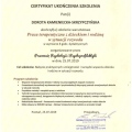 Powiększ obraz: certificate 1