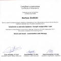Powiększ obraz: certificate 7