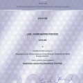 Powiększ obraz: certificate 9