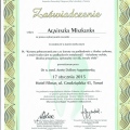 Powiększ obraz: certificate 11