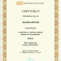 Powiększ obraz: certificate 35