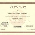 Powiększ obraz: certificate 4