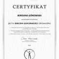 Powiększ obraz: certificate 3