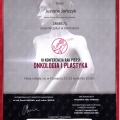 Powiększ obraz: certificate 4