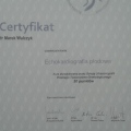 Powiększ obraz: certificate 7