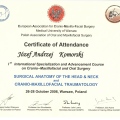 Powiększ obraz: certificate 5