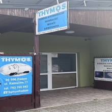 Thymos