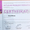Powiększ obraz: certificate 1