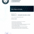 Powiększ obraz: certificate 16