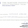 Powiększ obraz: certificate 5