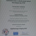 Powiększ obraz: certificate 9