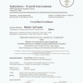 Powiększ obraz: certificate 17