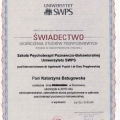 Powiększ obraz: certificate 2