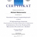 Powiększ obraz: certificate 9