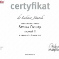 Powiększ obraz: certificate 8