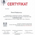 Powiększ obraz: certificate 88