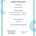 Powiększ obraz: certificate 45