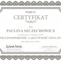Powiększ obraz: certificate 93