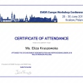 Powiększ obraz: certificate 4