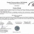 Powiększ obraz: certificate 11