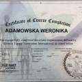 Powiększ obraz: certificate 12