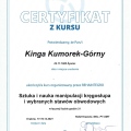 Powiększ obraz: certificate 10