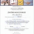 Powiększ obraz: certificate 4