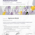 Powiększ obraz: certificate 8