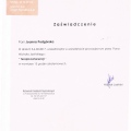 Powiększ obraz: certificate 4