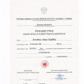 Powiększ obraz: certificate 20