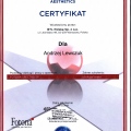 Powiększ obraz: certificate 4