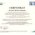Powiększ obraz: certificate 9