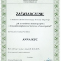 Powiększ obraz: certificate 20