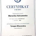 Powiększ obraz: certificate 4