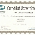 Powiększ obraz: certificate 28