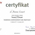 Powiększ obraz: certificate 3